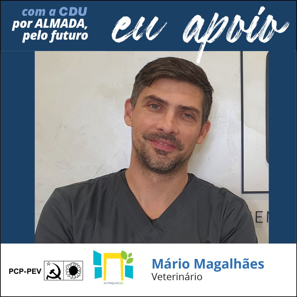 Mário Magalhães