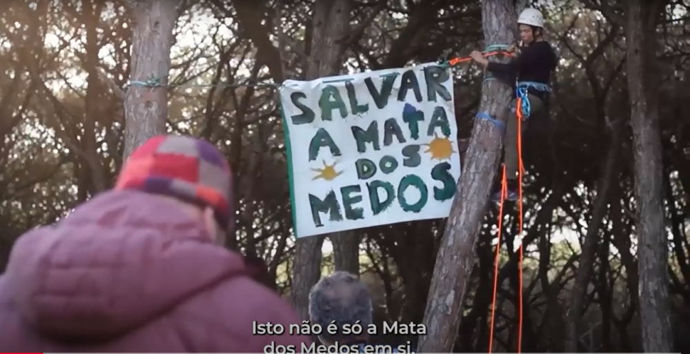 Mata dos Medos - Defender o Ambiente